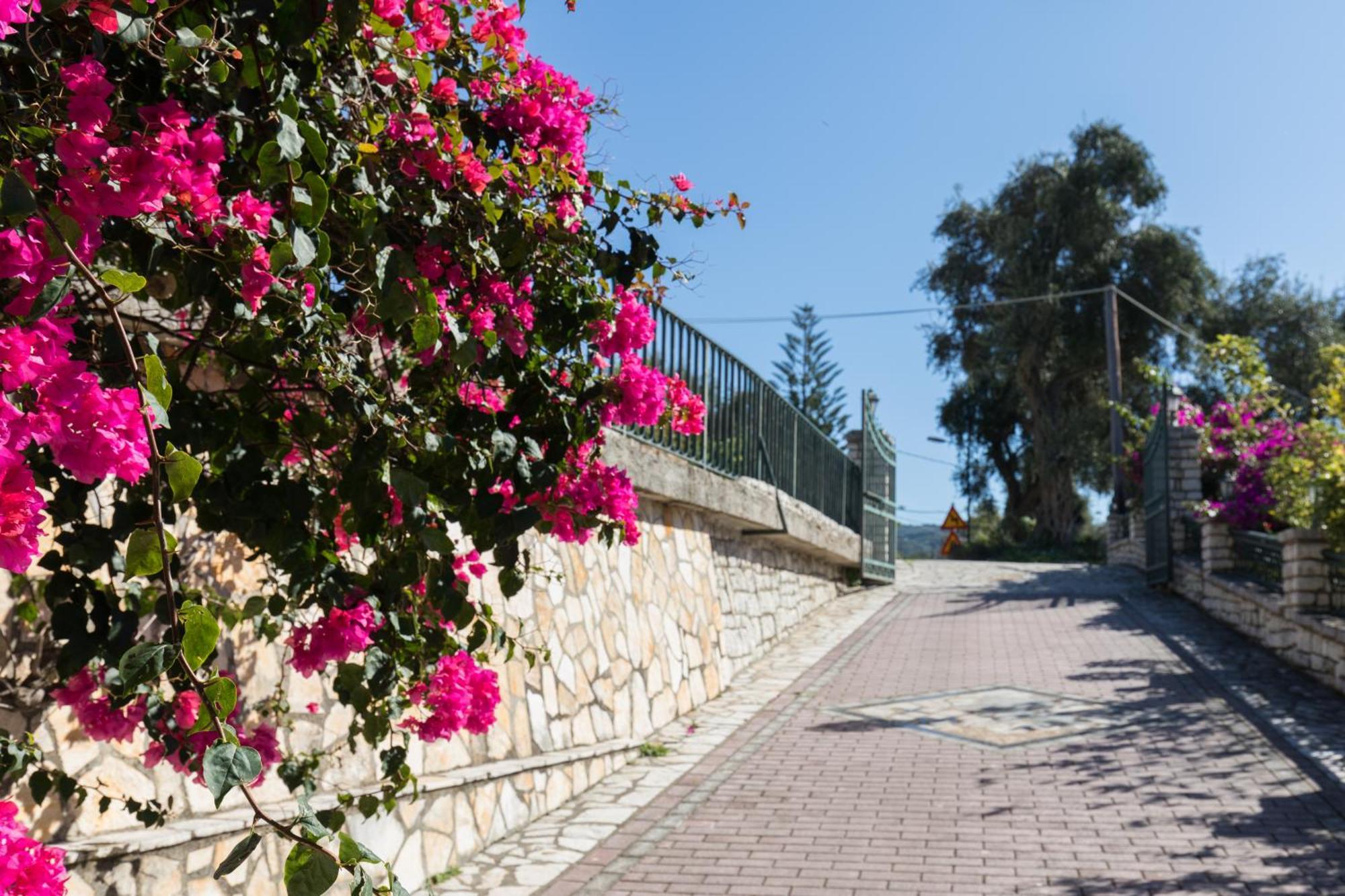 Villa Anthoussa In Palaiokastritsa Bagian luar foto